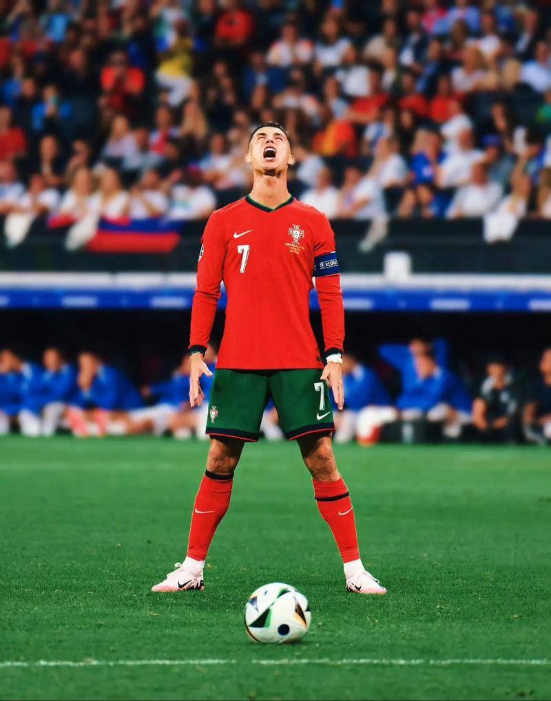 球迷们可能 球迷们可能